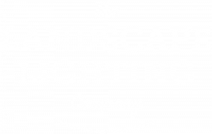 The Landscape Lighting Company photo 6